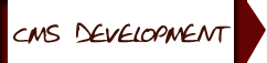 cms development